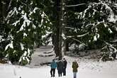 UK faces '81 hours of non stop' -8C snow and flurries will begin this week