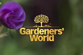 BBC Gardeners' World fans distraught over tragic cancer news