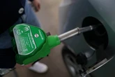 Petrol and diesel ban could be extended with 'every family' affected