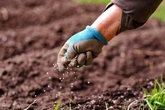 UK households with gardens given just six weeks to complete three tasks