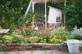 Millions of UK households who don't have pond in garden warned to 'act now'