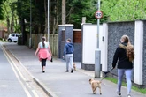 New £450 rule for dog owners in England set to 'penalise' households