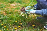 Little-known garden hack using throwback item everyone has