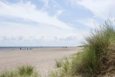 UK households visiting beaches in England warned they must not dig holes