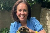 Midland tortoise turns up in another county after desperate search for a mate