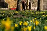 UK faces first mini-heatwave of year with exact date it starts announced