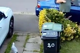 Moment swooping seagull attacks family in UK tourist hotspot