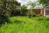 UK households urged not to mow lawn at one specific time of day in June
