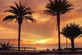 Tenerife set to install 'cameras and sensors' with millions of UK tourists warned