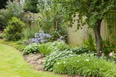 UK households with trees in garden run risk of £20,000 fine in August
