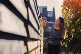 People with garden fences told 'act now' before time runs out