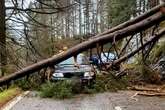 Dad's miracle escape after three trees crush his car on West Midlands journey