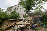 Birmingham house swallowed by trees cleared after 40 years as locals say 'eyesore'