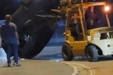 Forklift driver 'lifts cars with people inside' in rampage that leaves vehicles flipped