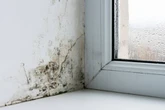 Thousands of UK households risk mould and damp after government scheme 'fails'