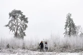 All the parts of England set for snow with nine counties at risk alongside Scotland