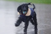 UK faces 'horror' storm lasting '36 hours' which will hit 'whole of England'