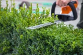 UK households with garden hedges face September rule change