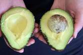 Warning for Tesco, Asda, Lidl, Aldi, Sainsbury's shoppers who buy avocados