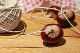 Drivers told to place conkers in car in September or face £2,500 fines