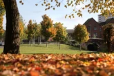 UK households face £300 fines over 'autumn family tradition'