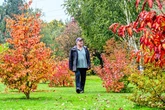 Inside the West Midlands' best autumn garden with 20,000 plants