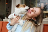Warning to UK dog owners over mistake that could empty their bank account