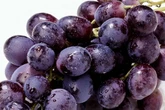Tesco, Aldi, Lidl, Morrisons, Sainsbury's and Asda shoppers urged to 'stock up' on red grapes