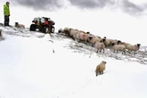 UK braced for '3cm snow per hour' next week with six English cities hit