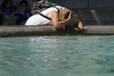 UK set for 26C heatwave lasting 48 hours with five cities in England hottest