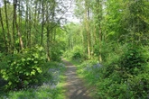 Man arrested after 'hunting deer and muntjac' at Midland beauty spot