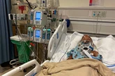 UK tourist gets jail term after causing crash while in the US