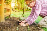 Alan Titchmarsh says tomatoes will grow abundantly 'anywhere' if you add 1 thing to soil
