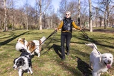Five dog breeds prone to behavioural problems when 'needs are not met'