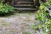 Vinegar is ‘only more effective’ at removing gravel weeds when paired with 2 kitchen items