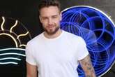 Liam Payne police report lays bare haunting details of balcony death