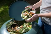 Gardeners urged to leave one item in garden to help birds in nesting season