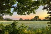 Important reason why Midlands council leader has ordered a new green belt review