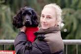 Dog spends Christmas with Walsall police officer who found her in a carrier bag