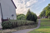Anger after safety fears lead to 'brutal' treatment of hedgerow