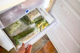 Millions of state pensioners with freezers in their garage 'warned'