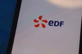 EDF urges customers not to use electricity between 4pm and 7pm