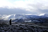 Parts of UK set to freeze in -1C temperatures with 2cm of snow falling per hour