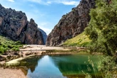 Majorca warns UK tourists after strategy 'goes wrong' and ends in 'disaster'