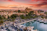 Majorca issues anxious warning to UK tourists and admits things are 'very bad'