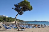 UK tourists in Spain face £518 fine after admitting to mistake when 'tipsy'