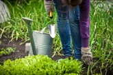 'Essential' gardening jobs that take less than an hour to do - and will transform your space