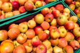 Urgent recall issued for fruit sold at Morrisons, Asda, Sainsbury's and Tesco