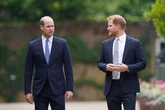 Prince Harry offers 'olive branch' to William hours before awkward diary clash