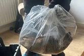 'Largest rat as big as a cat' trapped: one council has a more 'massive' vermin problem than Brum